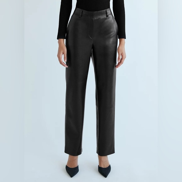 Aritzia Pants - BNWOT Aritzia Leather Command Pant